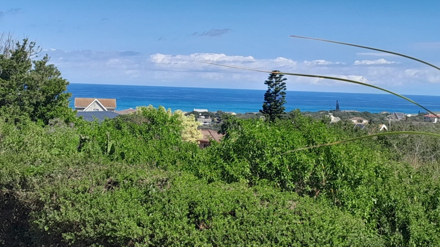 0 Bedroom Property for Sale in Forest Downs Eastern Cape